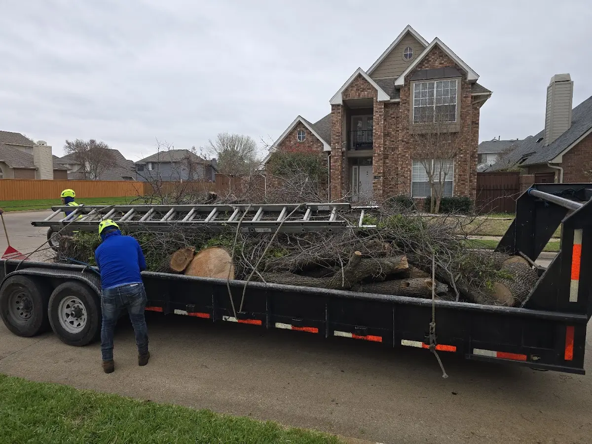 Expert Tree Pest Control with proper safety equipment in Dowagiac